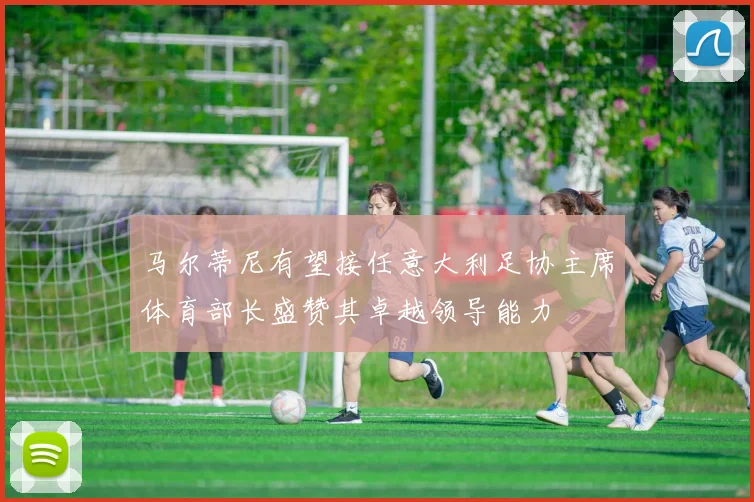 马尔蒂尼有望接任意大利足协主席体育部长盛赞其卓越领导能力
