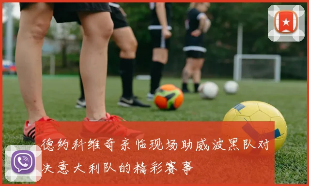 德约科维奇亲临现场助威波黑队对决意大利队的精彩赛事