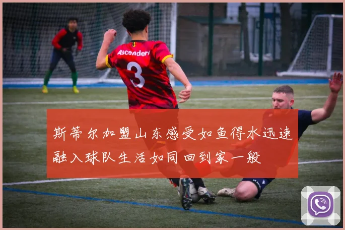 斯蒂尔加盟山东感受如鱼得水迅速融入球队生活如同回到家一般